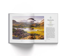 Load image into Gallery viewer, Forty Fells: Conversations about change in the Lake District mountains, Tom McNally & David Felton