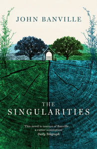 The Singularities SIGNED bookplate, John Banville