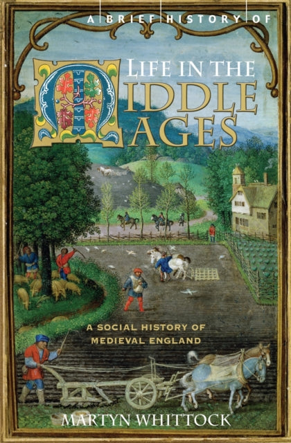 A Brief History of Life in the Middle Ages, Martyn Whittock