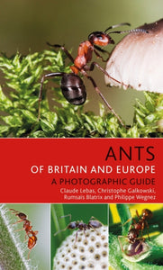 Ants of Britain and Europe, Various Authors