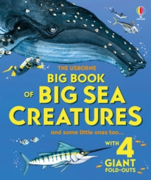 The Usborne Big Book of Big Sea Creatures, Minna Lacey