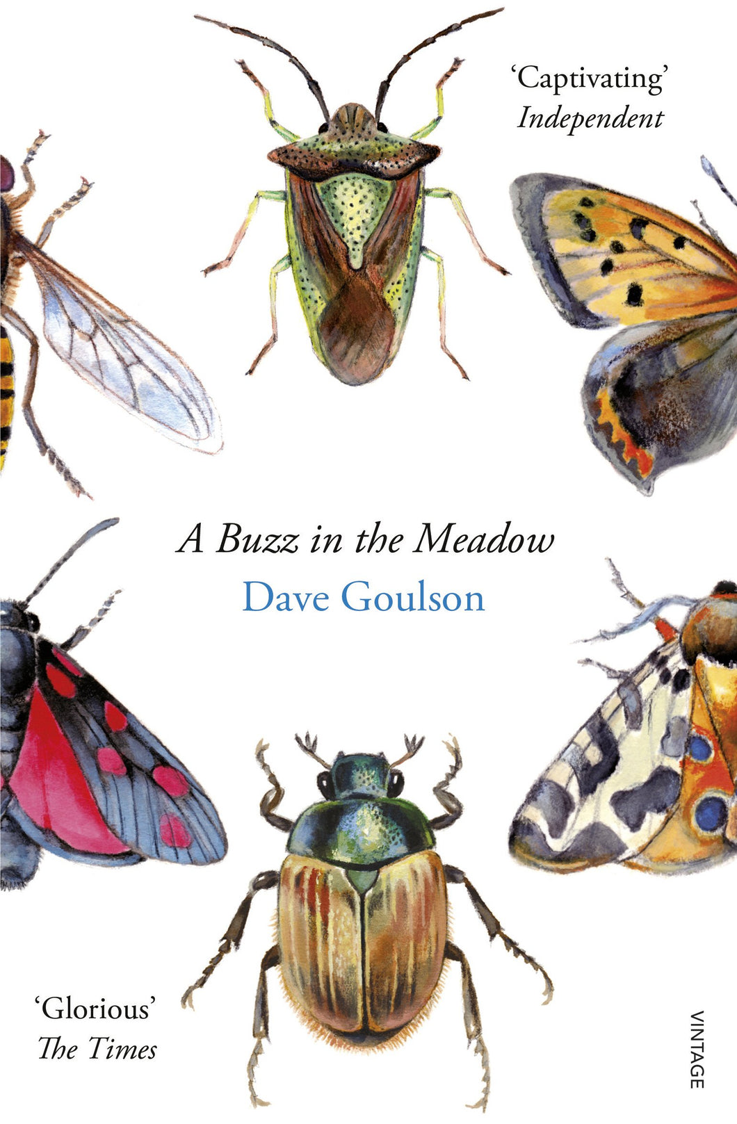 Buzz in the Meadow, Dave Goulson