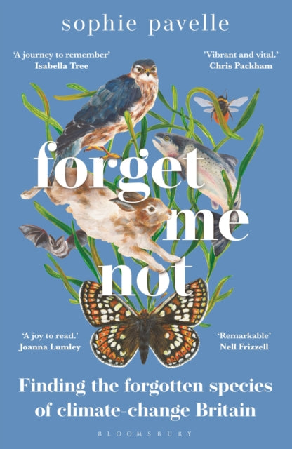 Forget Me Not, Sophie Pavelle