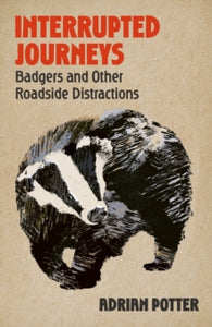 Interrupted Journeys : Badgers and Other Roadside Distractions, Adrian Potter