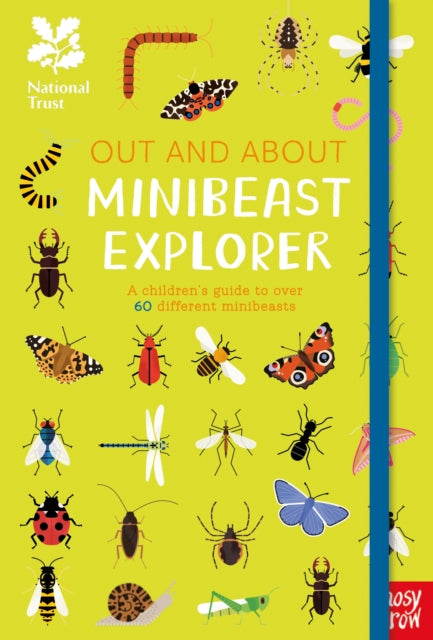 National Trust Out and About Minibeast Explorer