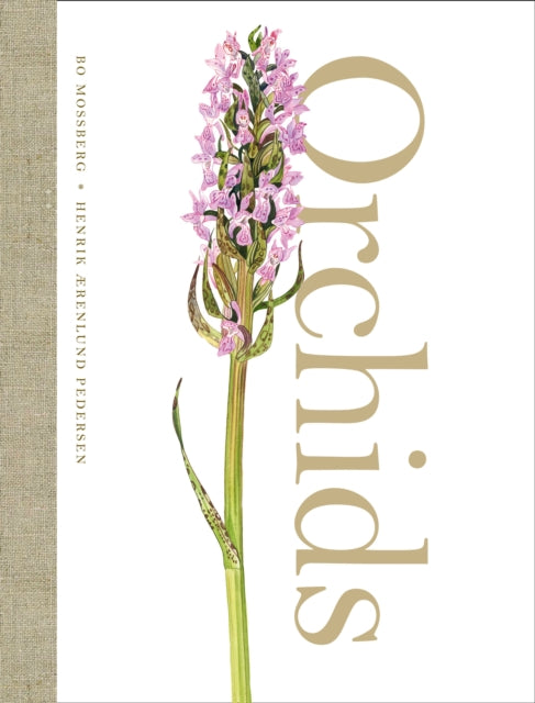 Orchids, Henrik Aerenlund Pedersen and Bo Mossberg
