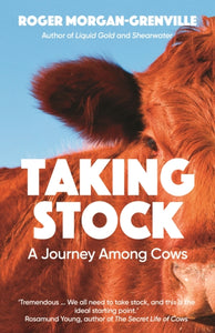 Taking Stock, Roger Morgan-Grenville