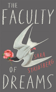 The Faculty of Dreams, Sara Stridsberg