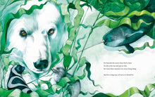 Load image into Gallery viewer, **PRE ORDER** The Great Bear by Annie Booker (PRE ORDER 9th October 2025)
