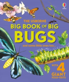 The Usborne Big Book of Big Bugs, Emily Bone