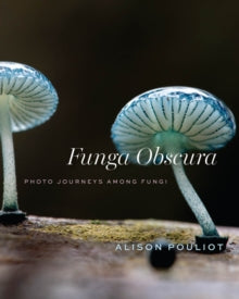 Funga Obscura : Photo Journeys Among Fungi, Alison Pouliot