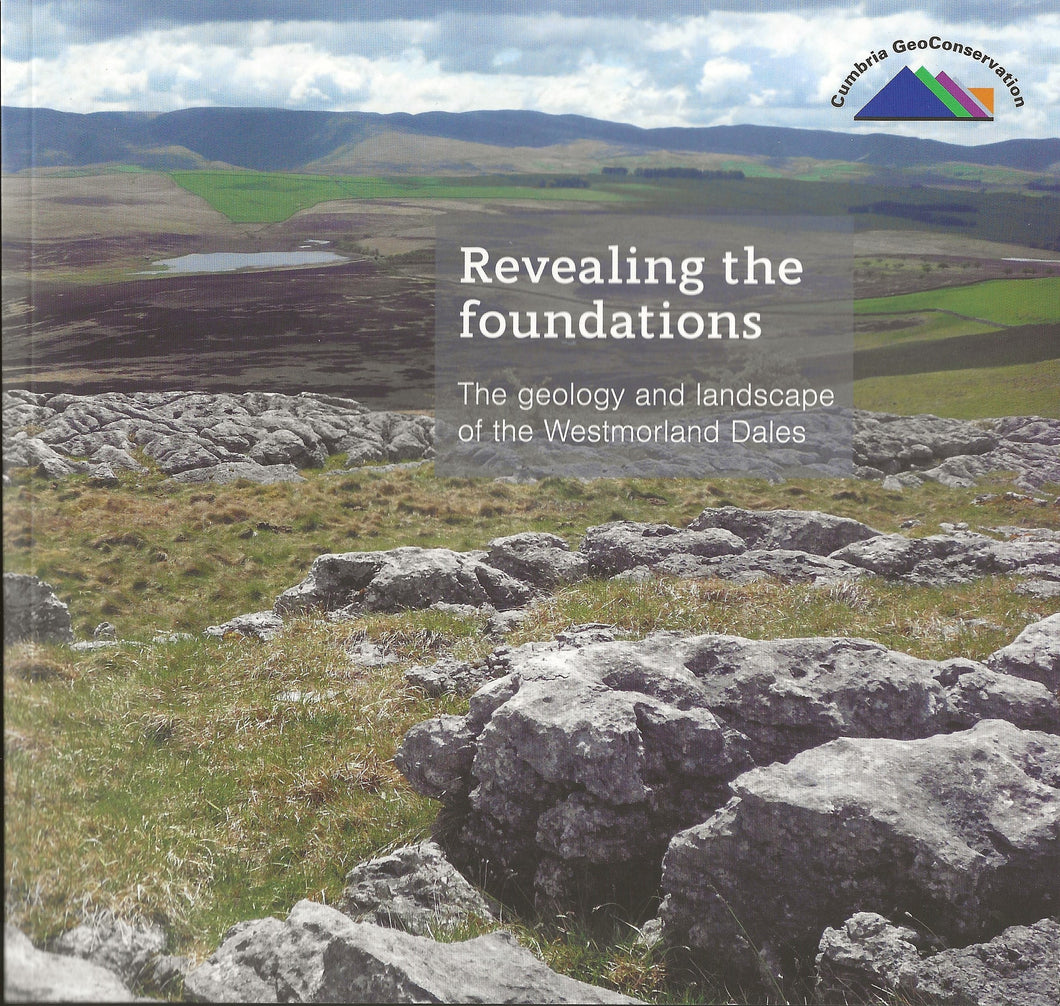 Revealing the Foundations, Elizabeth Pickett