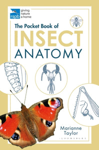 The Pocket Book of Insect Anatomy, Marianne Taylor