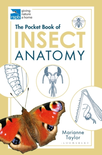 The Pocket Book of Insect Anatomy, Marianne Taylor