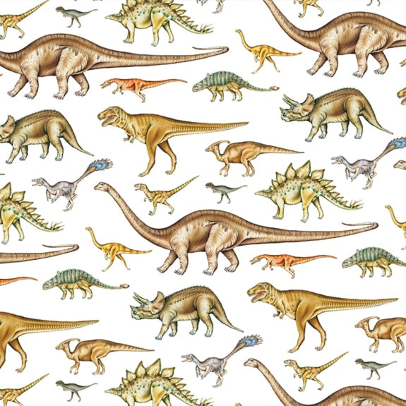 Single Sheet Gift Wrap - Dinosaurs