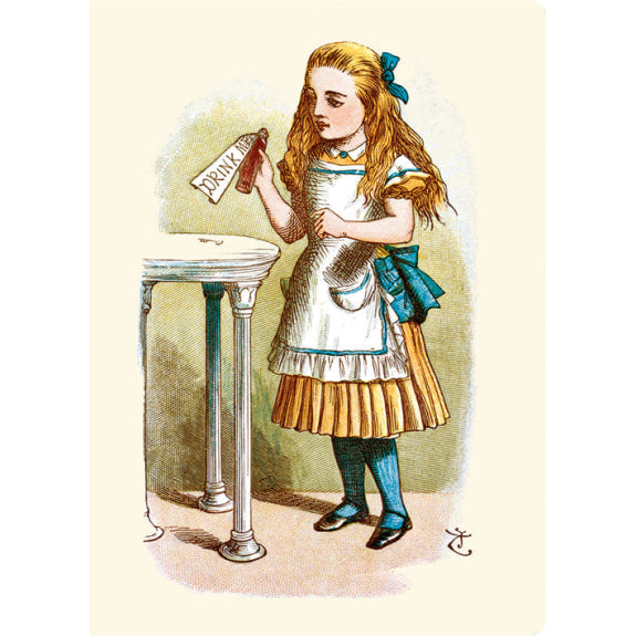 Alice 'Drink Me' Mini Notebook