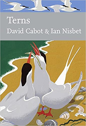 Terns (New Naturalist 123), David Cabot and Ian Nisbet