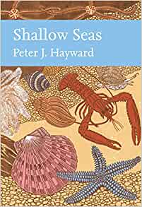 Shallow Seas (New Naturalist 131), Peter J Hayward