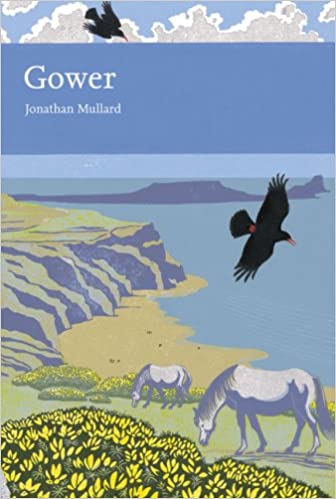 Gower (New Naturalist 99), Jonathan Mullard