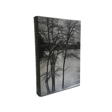 Load image into Gallery viewer, Walden, Henry D Thoreau
