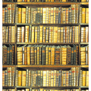 Single Sheet Gift Wrap - Antique Books